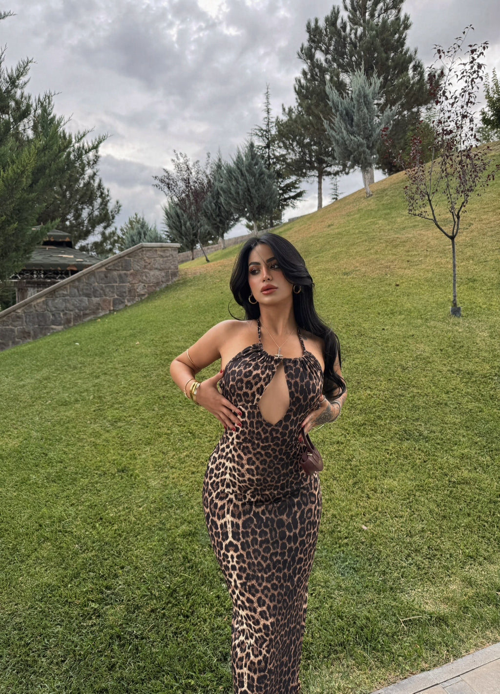 Leopard Chest Cutout Dress