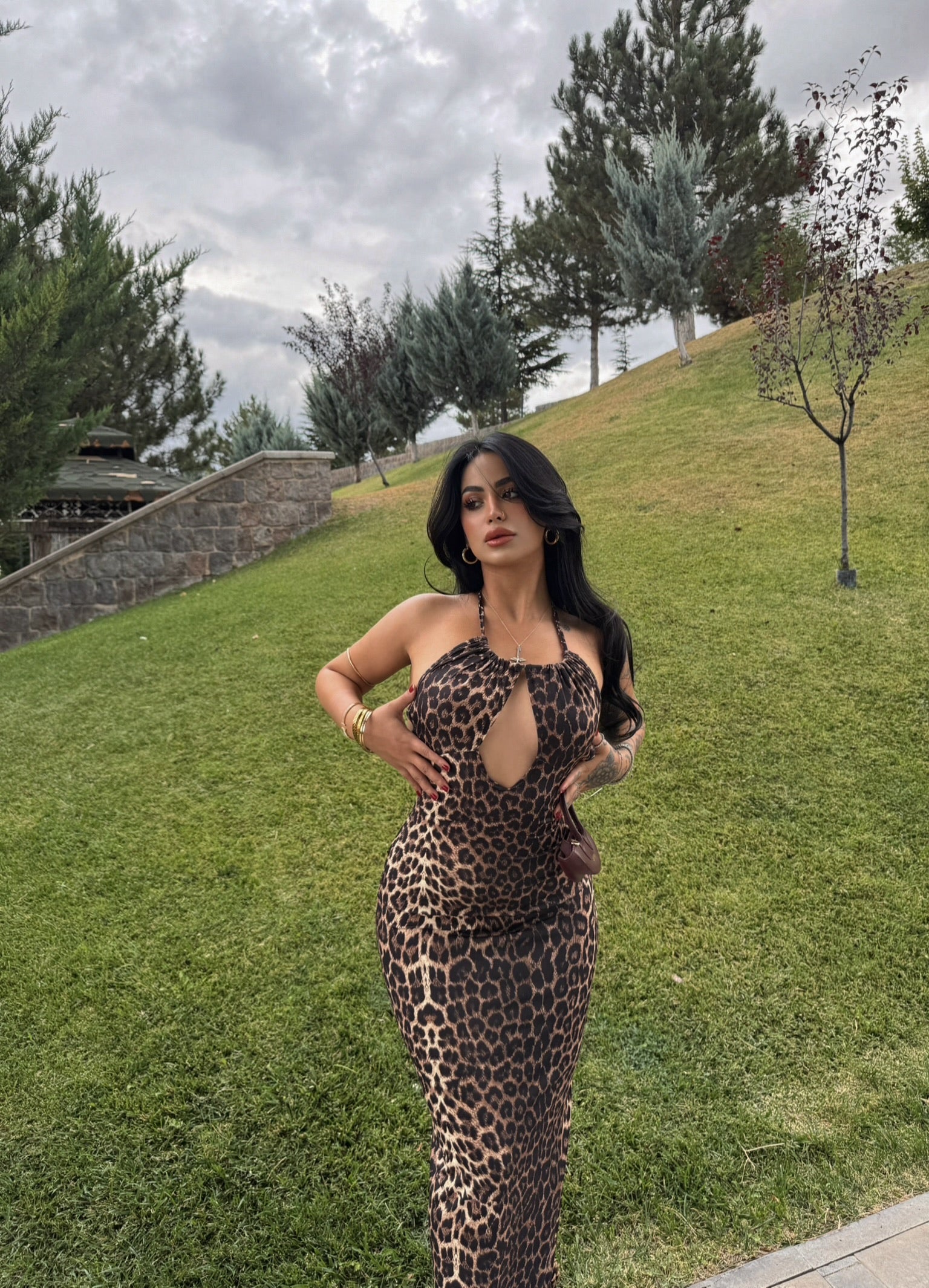 Leopard Chest Cutout Dress