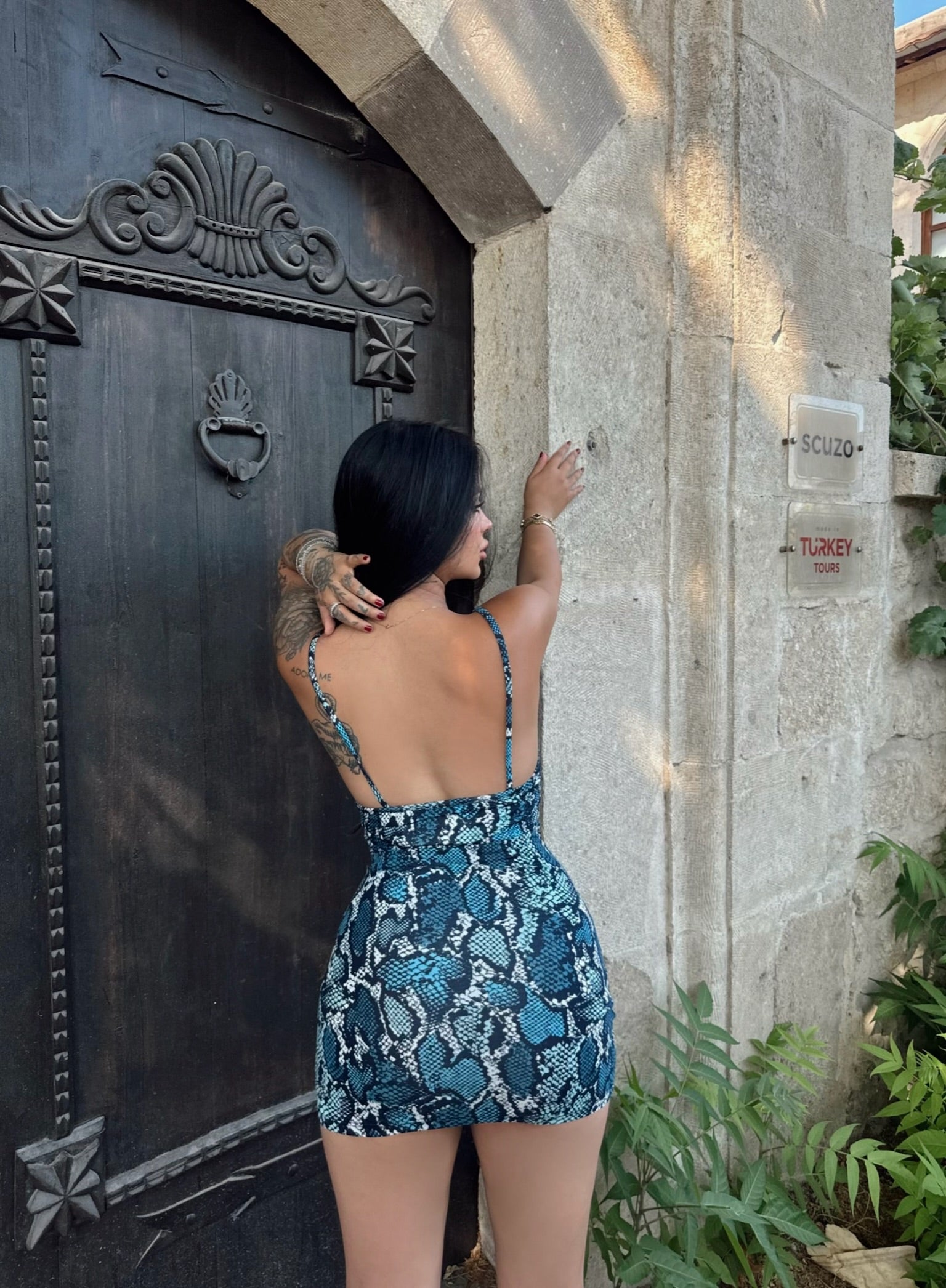 Snake Print Wrap Strap Dress