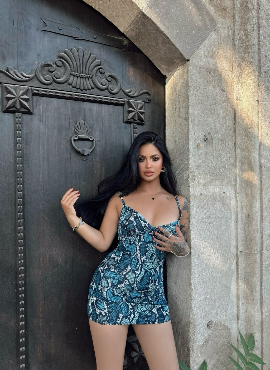 Snake Print Wrap Strap Dress