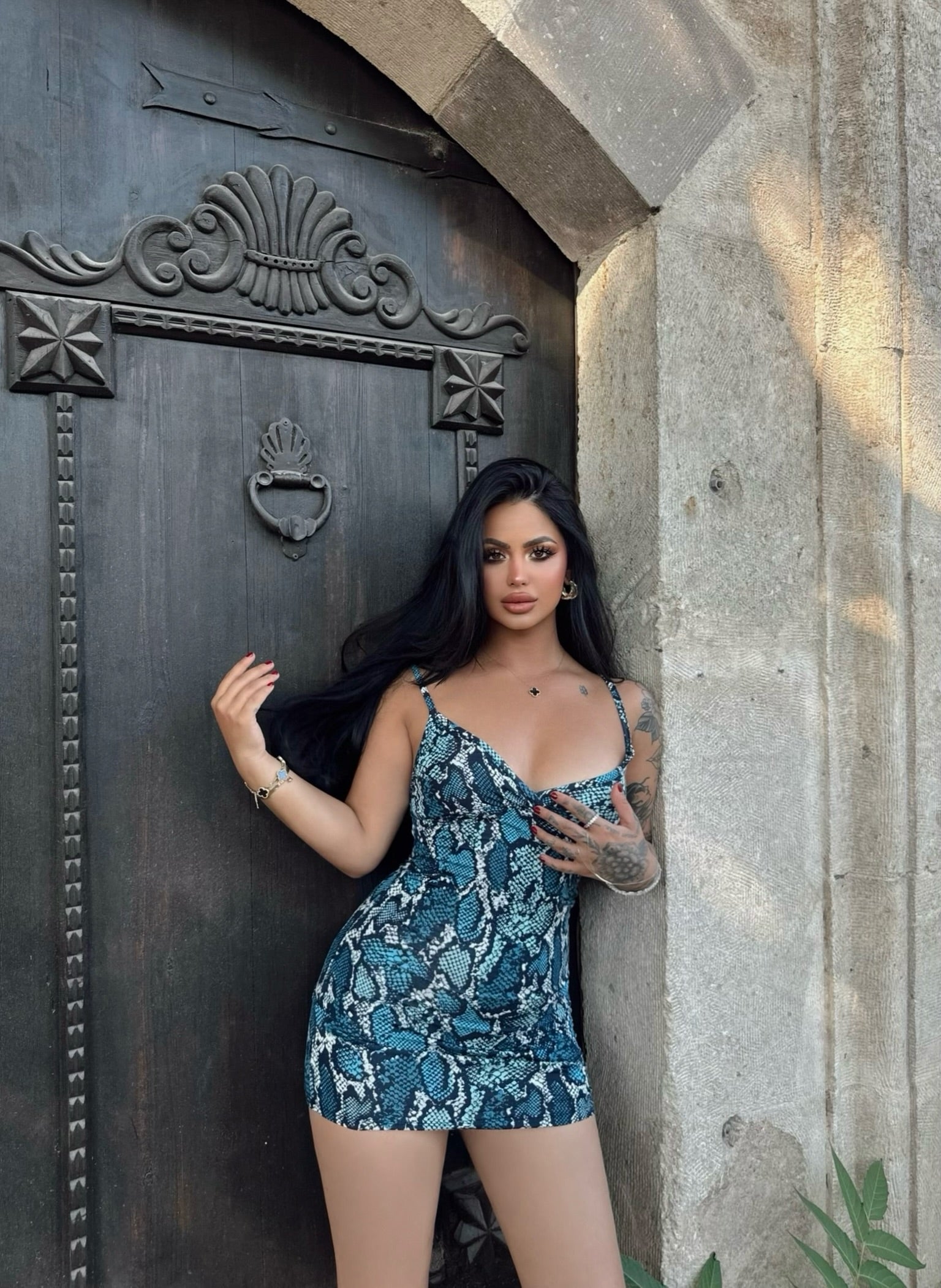 Snake Print Wrap Strap Dress