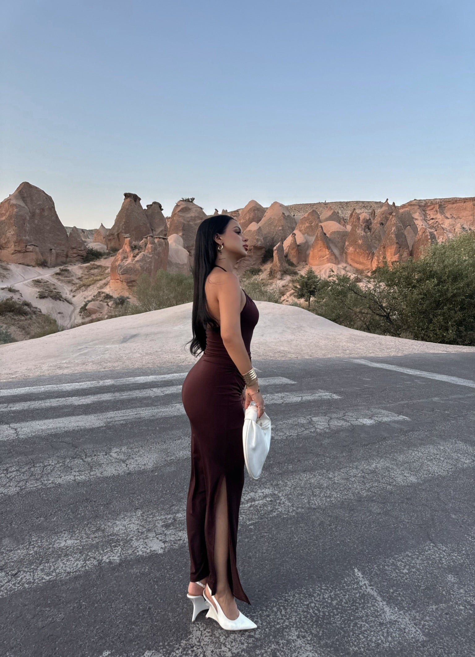 Brown Halter Neck Accessory Dress